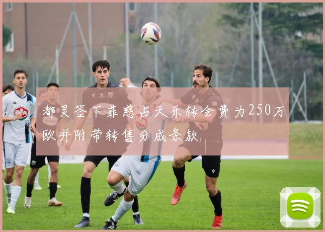 都灵签下菲慈占天乐转会费为250万欧并附带转售分成条款