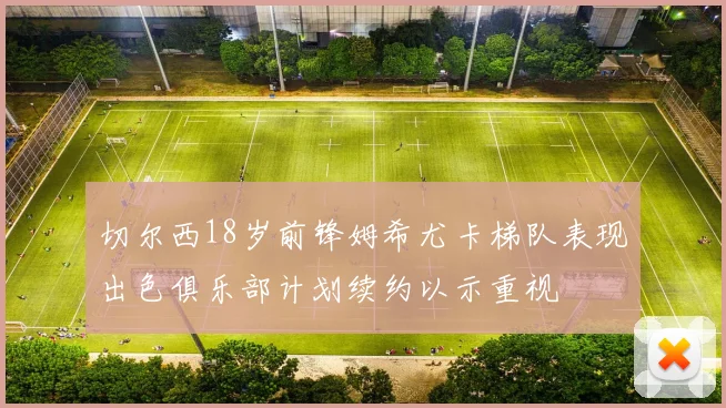 切尔西18岁前锋姆希尤卡梯队表现出色俱乐部计划续约以示重视