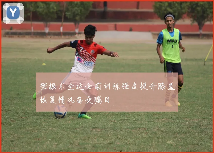 樊振东全运会前训练强度提升膝盖恢复情况备受瞩目
