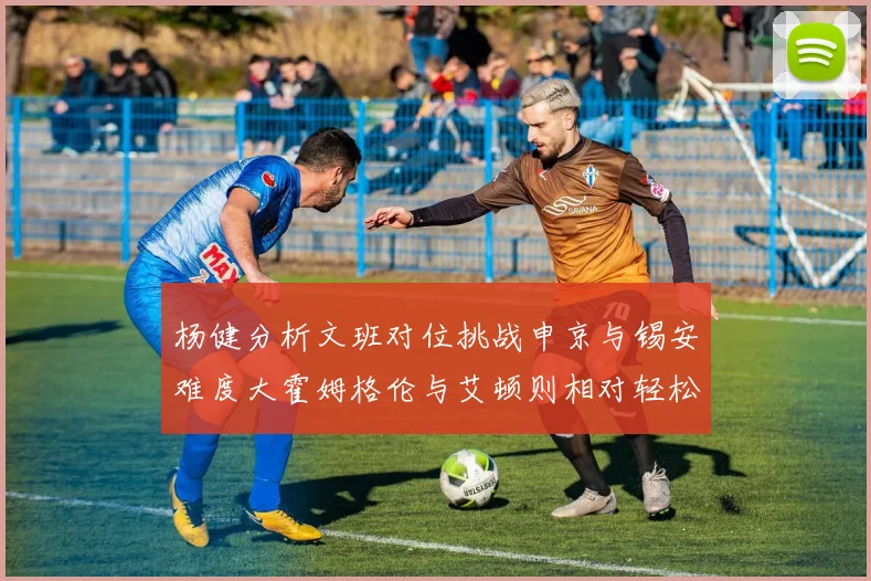 杨健分析文班对位挑战申京与锡安难度大霍姆格伦与艾顿则相对轻松