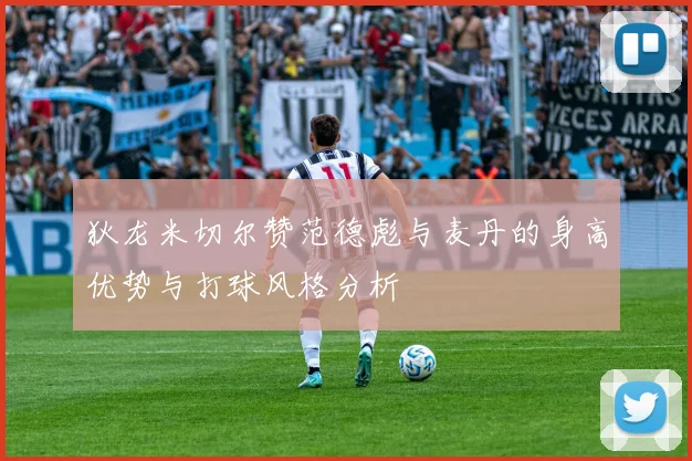 狄龙米切尔赞范德彪与麦丹的身高优势与打球风格分析